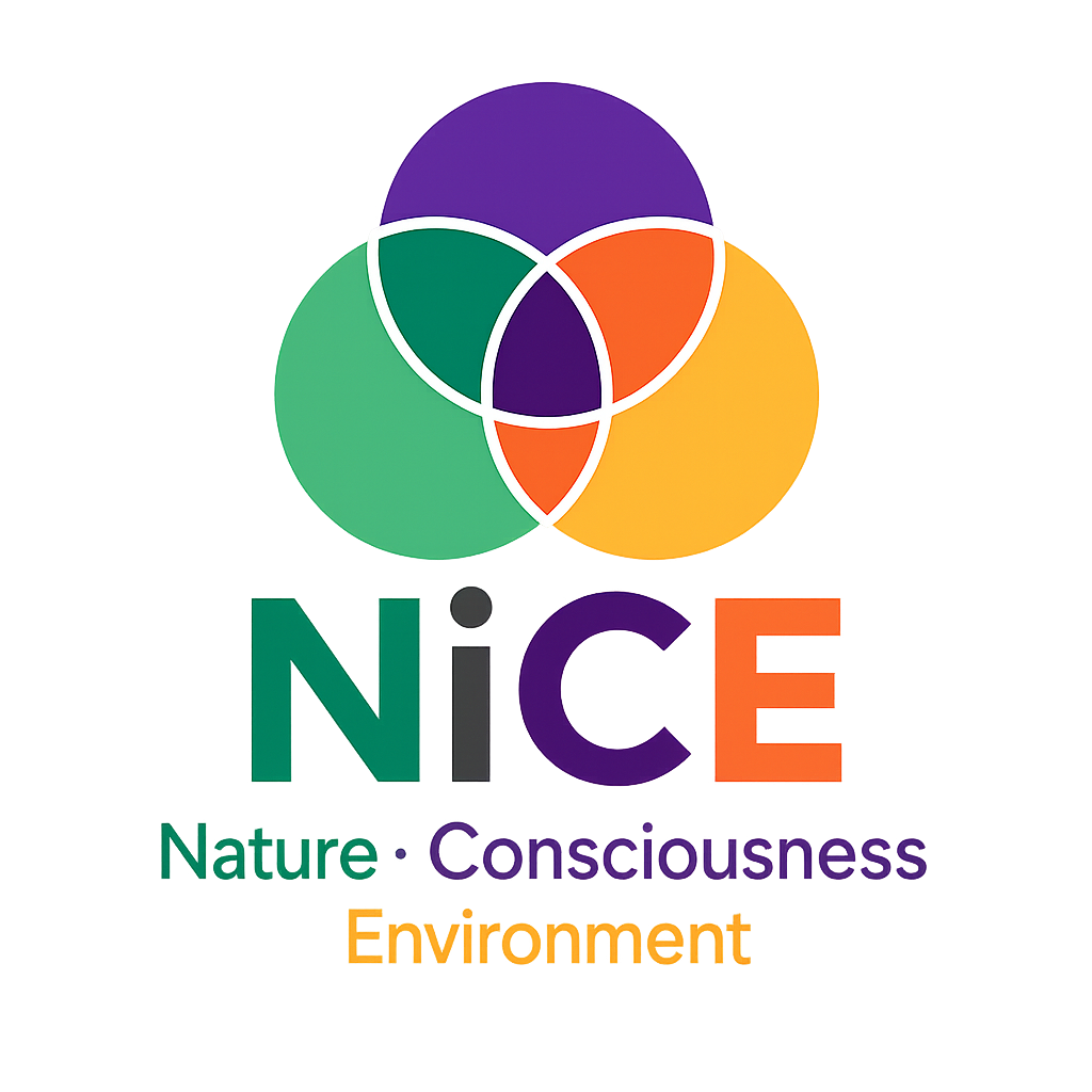 NiCE Framework Logo